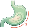 Healthy digestion stomach icon